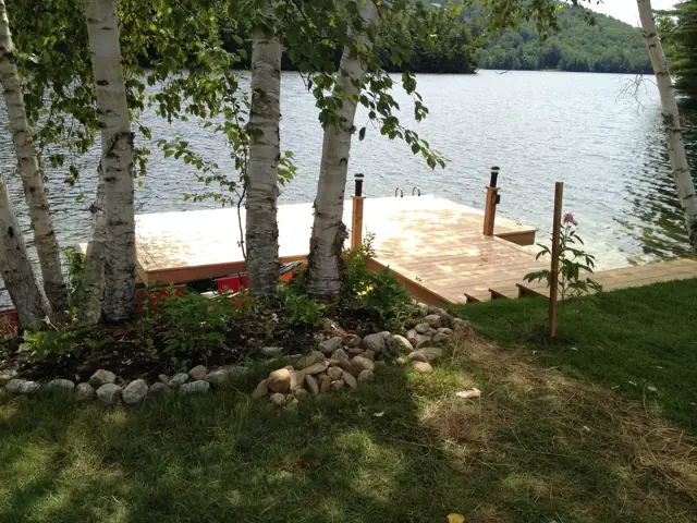 Lakeside dock and shoreline landscape