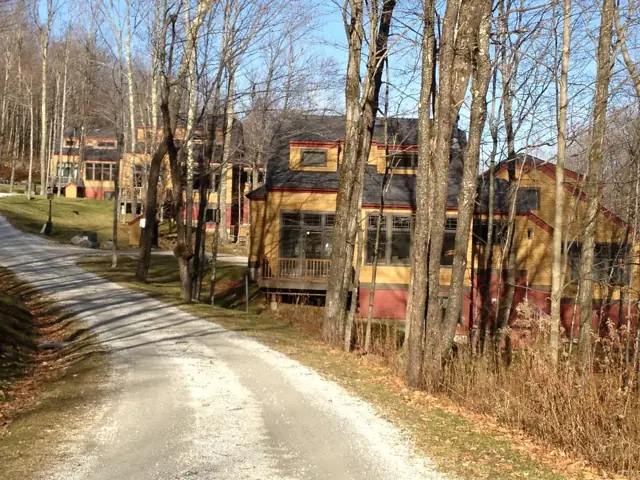 Homes along a gravel drive in the woods