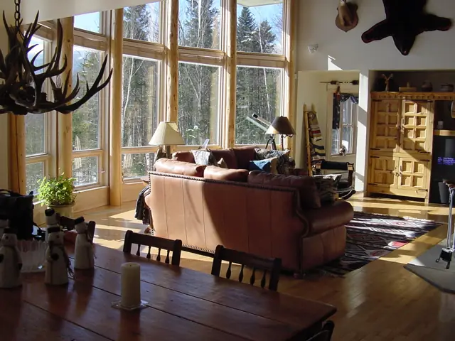 Sun-filled living room with tall windows and wood floors